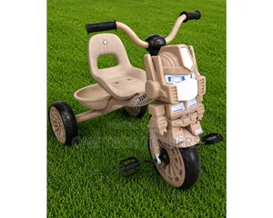 Heavy Duty Tricycle With Music