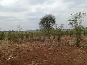 150 Acres Gatundu South, Along Kimbo, Mugutha Tarmac Road,