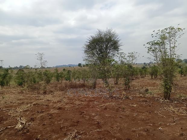 150 Acres Gatundu South, Along Kimbo, Mugutha Tarmac Road,