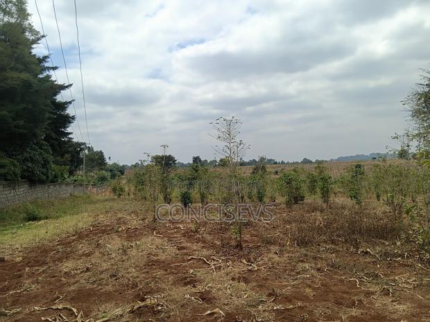 150 Acres Gatundu South, Along Kimbo, Mugutha Tarmac Road, - thumbnail 4