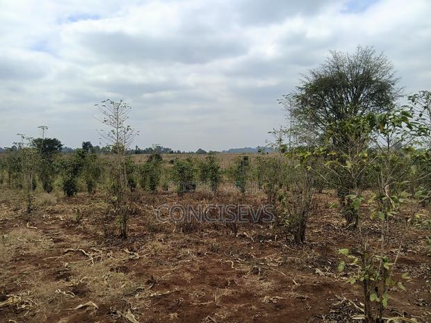 150 Acres Gatundu South, Along Kimbo, Mugutha Tarmac Road, - thumbnail 5