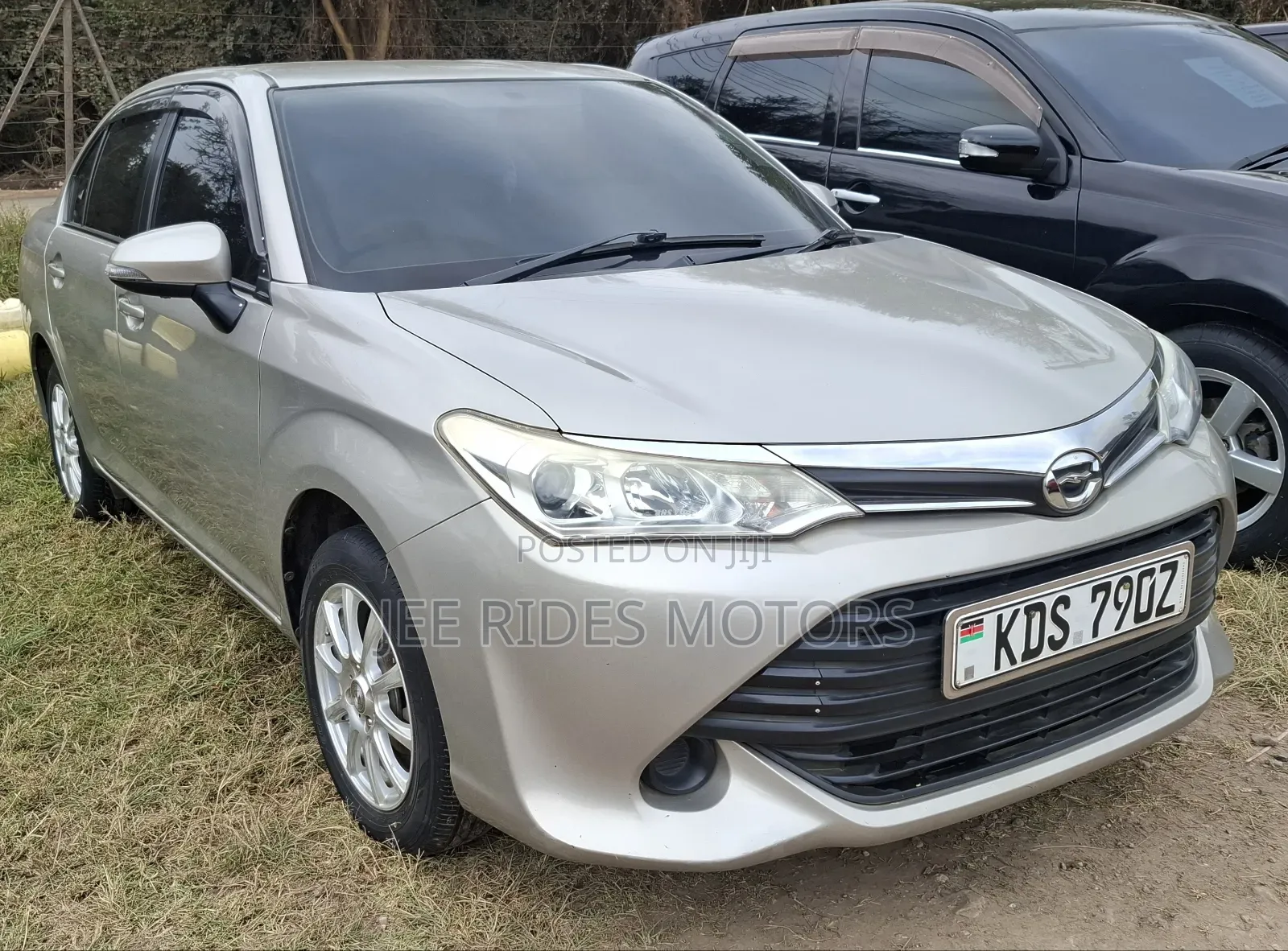 Toyota Axio 2015 Gray