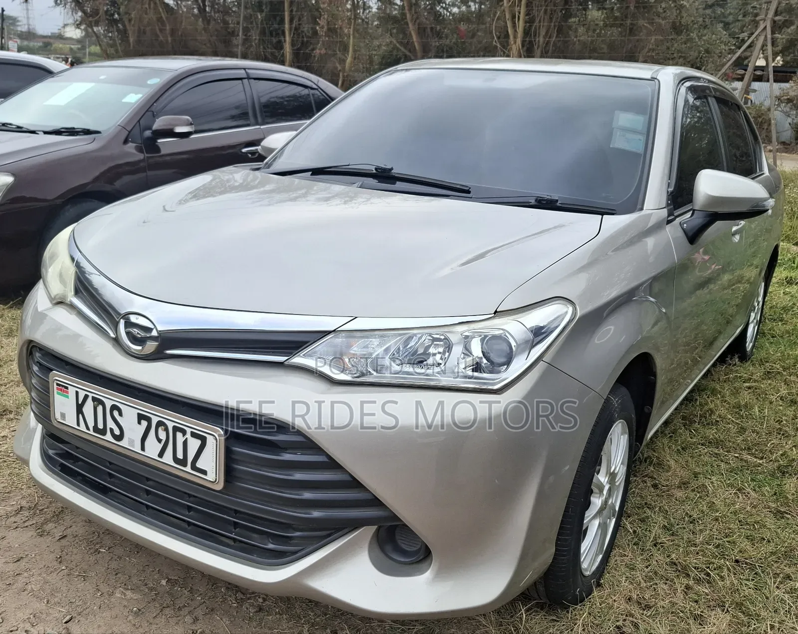 Toyota Axio 2015 Gray