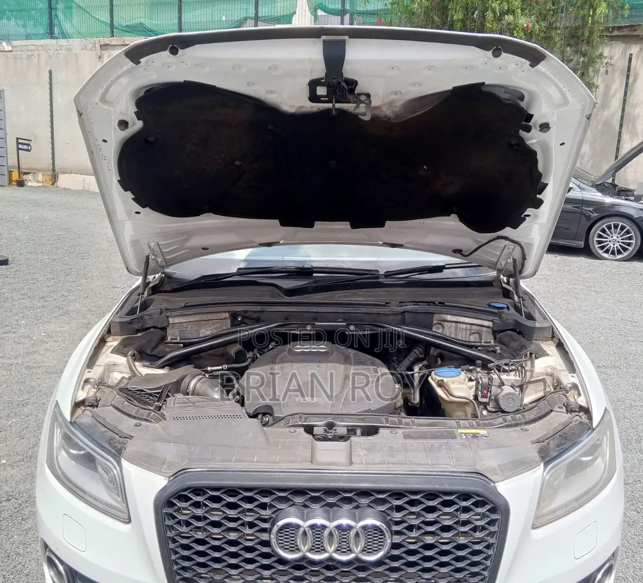 Audi Q5 2013 White