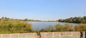 A 250-Acre Strategic Development Site in Juja.