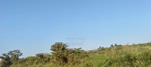 A 250-Acre Strategic Development Site in Juja.