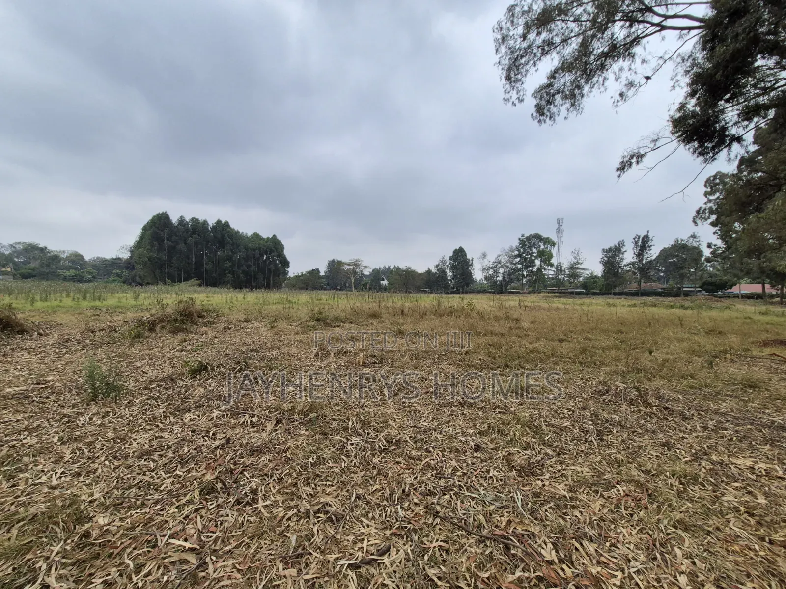 Half Acre Plot for Sale in Garden Estate at `
