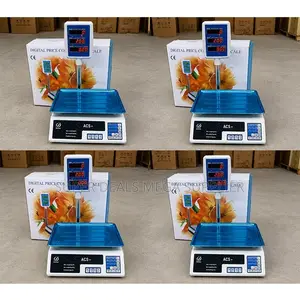 Factory Direct Prices ACS 30 Upto 30Kgs Digital Weighing Scales