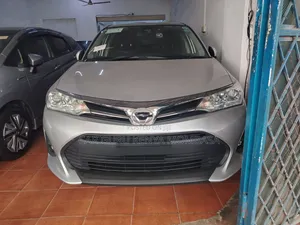 Toyota Corolla Fielder 2019 Silver