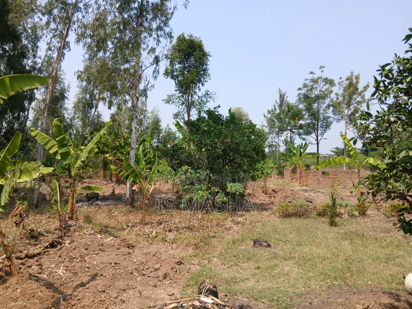 A Very Spacious 3 Acres Land,with a House.