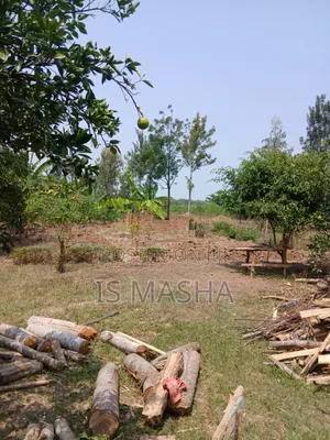 A Very Spacious 3 Acres Land,with a House.