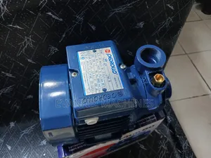 Pedrollo Water Pump 0.5hp/ Pedrollo Water Pump