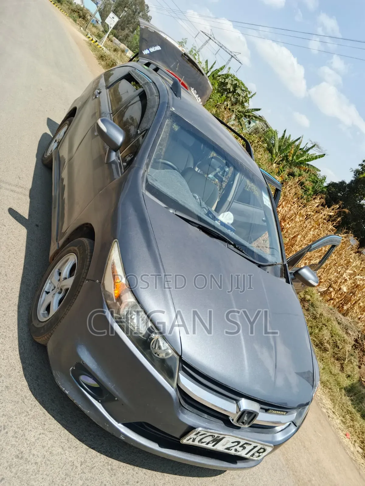 Honda Stream 2010 Gray