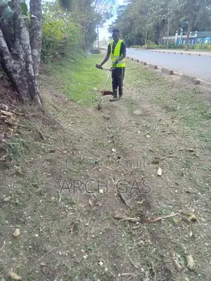 Motor Bike Delivery