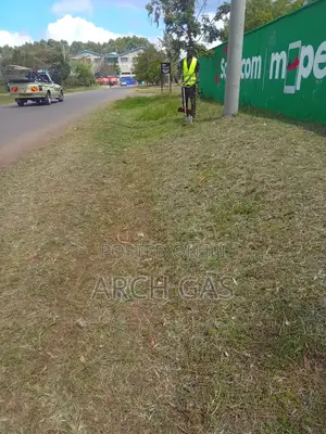 Motor Bike Delivery