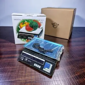 Fast Reading Electronic Retail ACS 40 Digital Weighing Scale