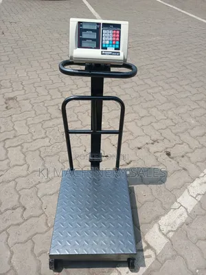 300kg Electronic Platform Weighing Scale
