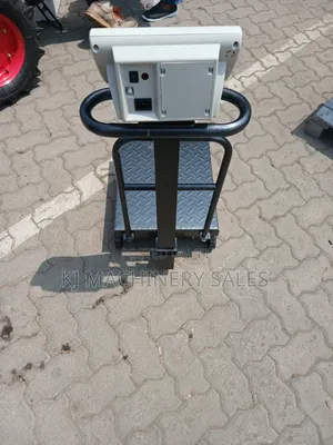 300kg Electronic Platform Weighing Scale