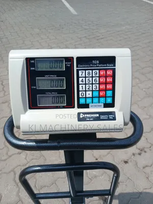 300kg Electronic Platform Weighing Scale