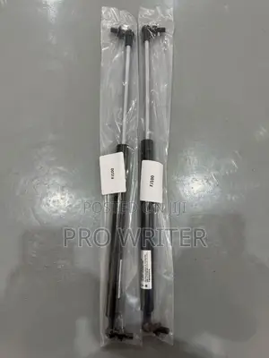 Bootshocks/Boot Struts