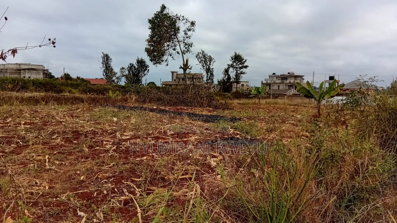 50by 100 Plot for Sale in Juja,mang'u