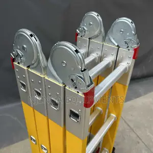 Multipurpose Folding Ladders