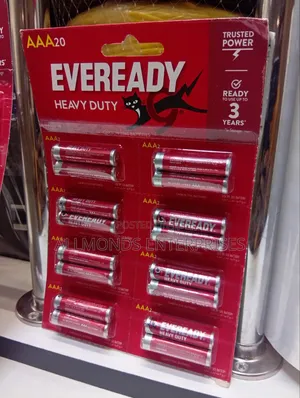 A Pair of Eveready Triple AAA and Double AA Battery 1.5v- Heavy Duty