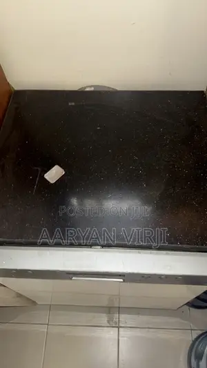 Silver Line Dishwasher