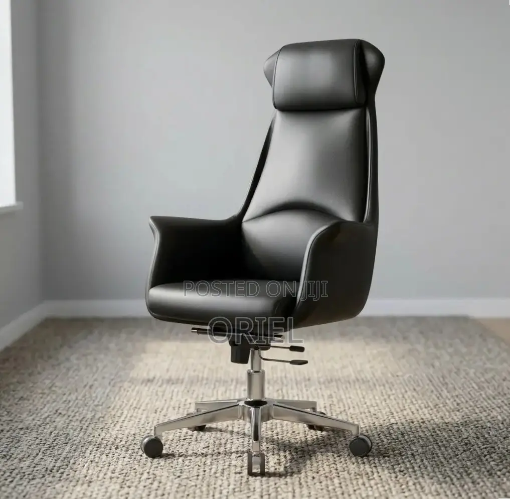 Office Chair : Executive Ergonomic Leather High Back Chair