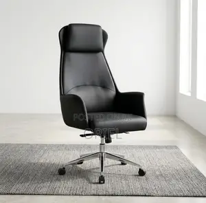 Office Chair : Executive Ergonomic Leather High Back Chair