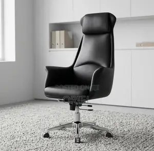 Office Chair : Executive Ergonomic Leather High Back Chair