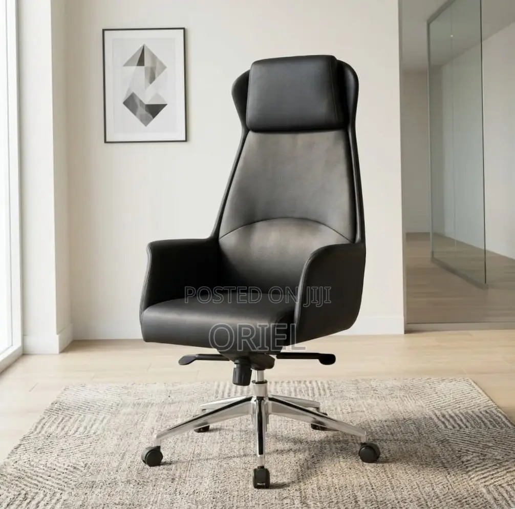 Office Chair : Executive Ergonomic Leather High Back Chair