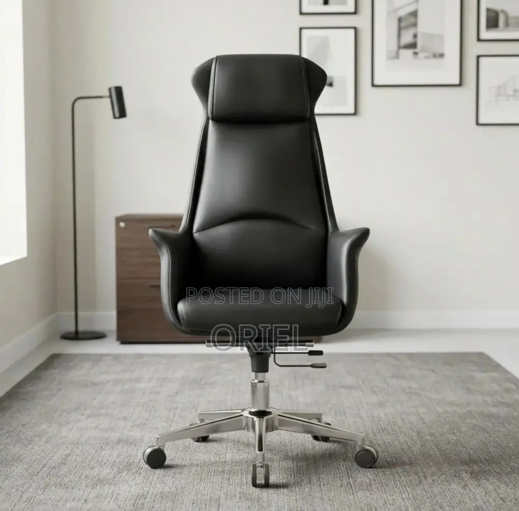 Office Chair : Executive Ergonomic Leather High Back Chair