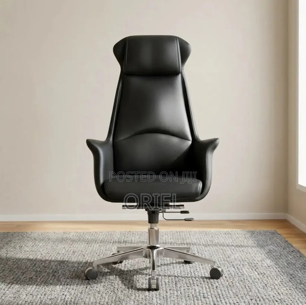 Office Chair : Executive Ergonomic Leather High Back Chair