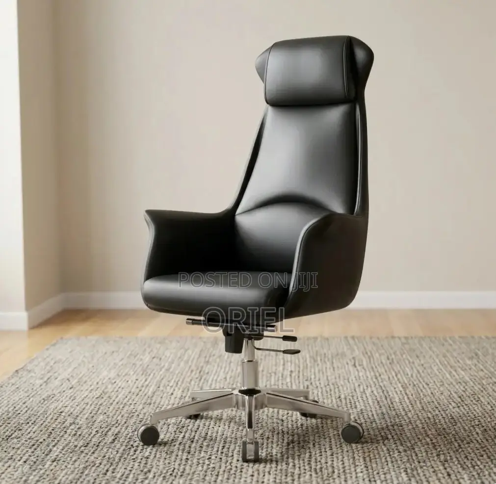 Office Chair : Executive Ergonomic Leather High Back Chair