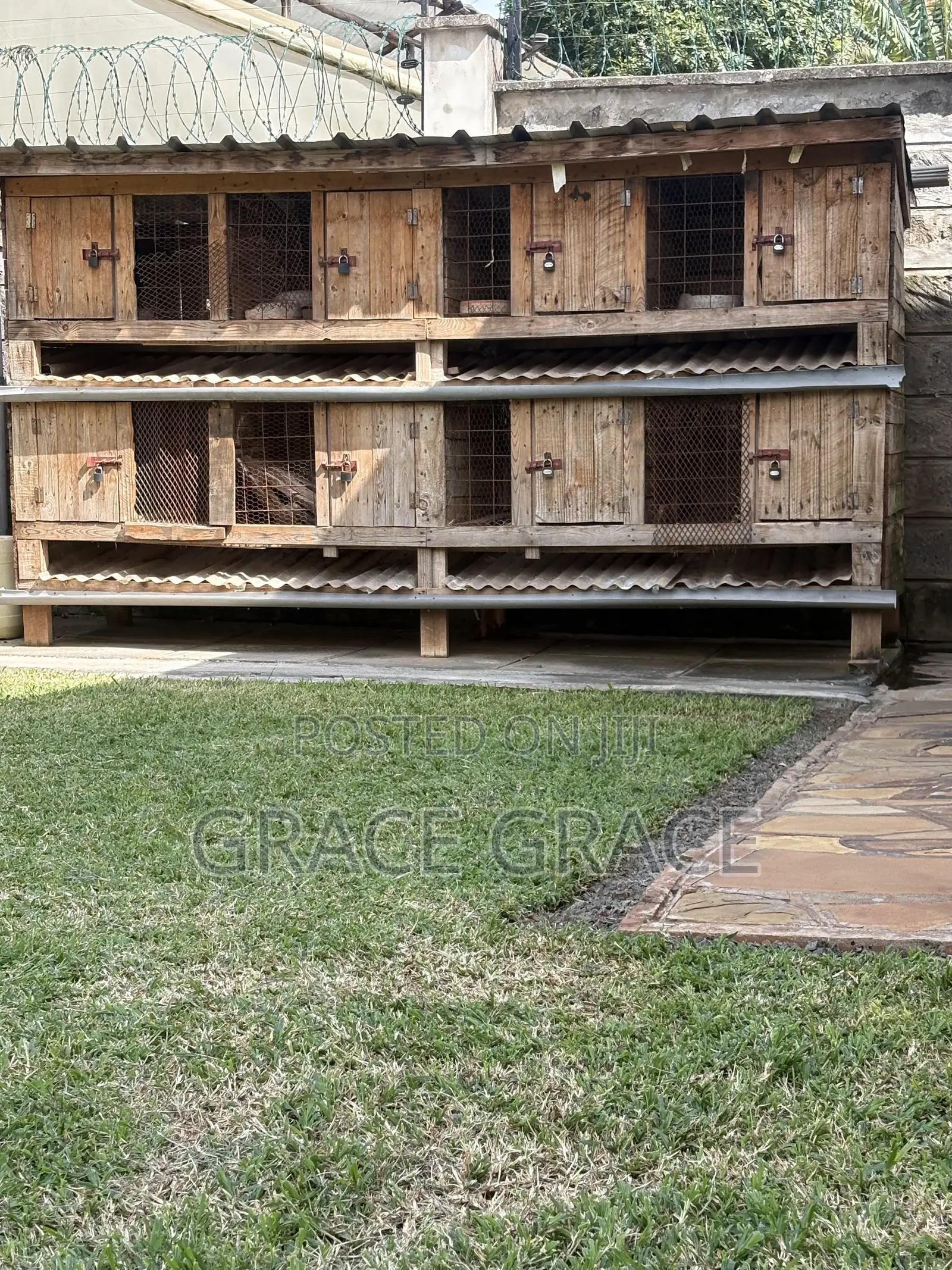 Rabbits Rearing House