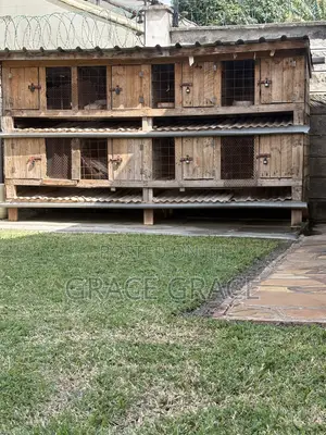 Rabbits Rearing House