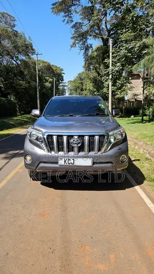 Toyota Land Cruiser Prado 3.0 TD 2011 Gray