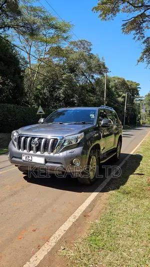 Toyota Land Cruiser Prado 3.0 TD 2011 Gray