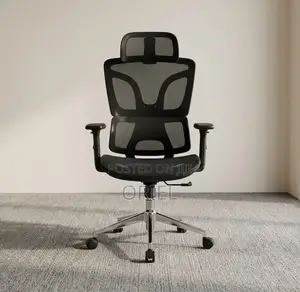 Office Chair : High-Back Adjustable Ergonomic Chair
