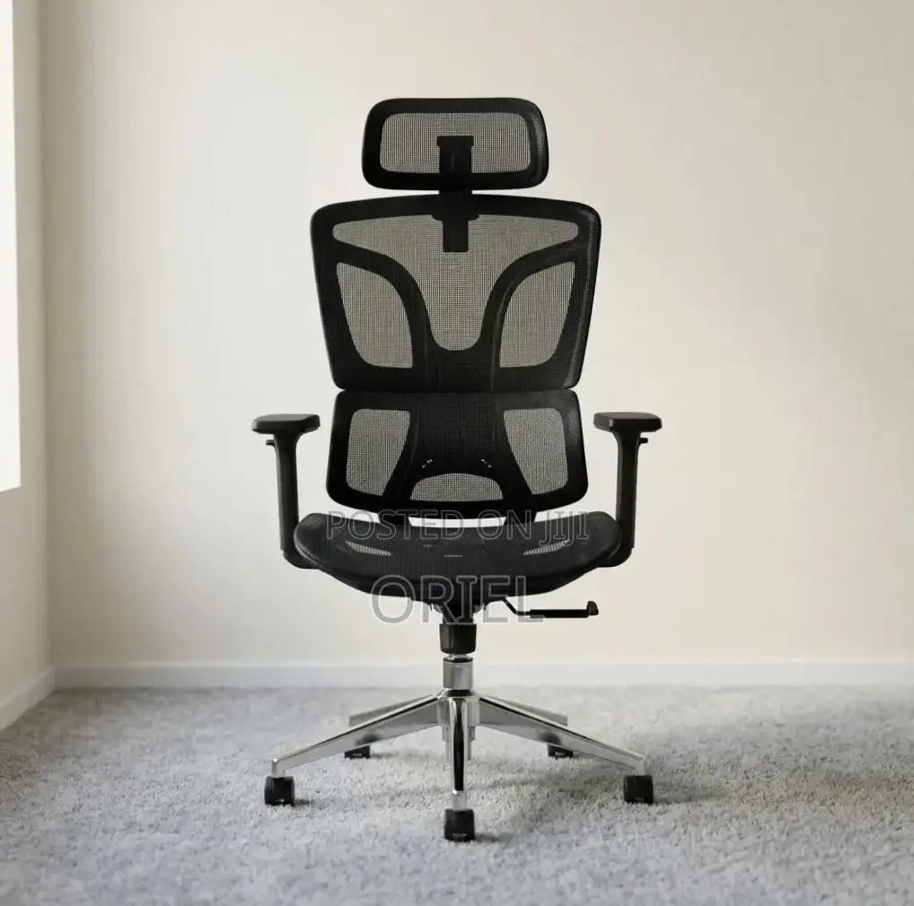 Office Chair : High-Back Adjustable Ergonomic Chair