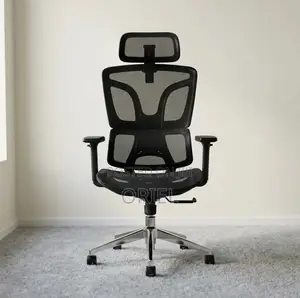 Office Chair : High-Back Adjustable Ergonomic Chair