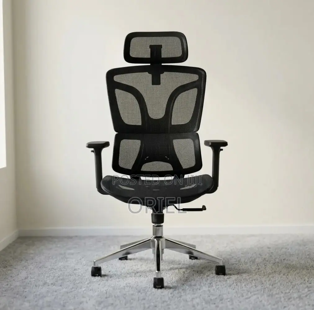 Office Chair : High-Back Adjustable Ergonomic Chair