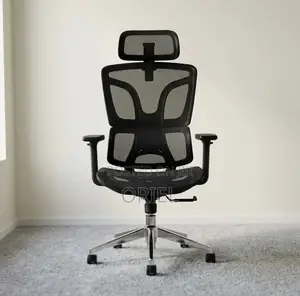 Office Chair : High-Back Adjustable Ergonomic Chair