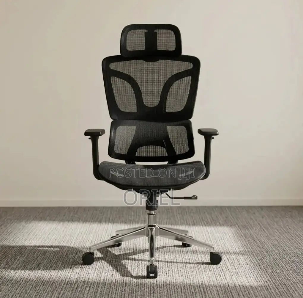 Office Chair : High-Back Adjustable Ergonomic Chair