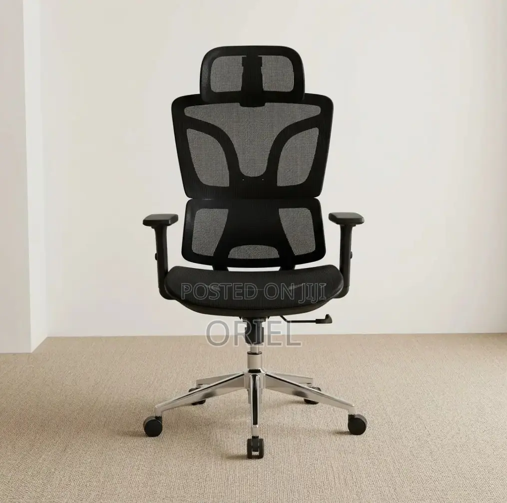 Office Chair : High-Back Adjustable Ergonomic Chair