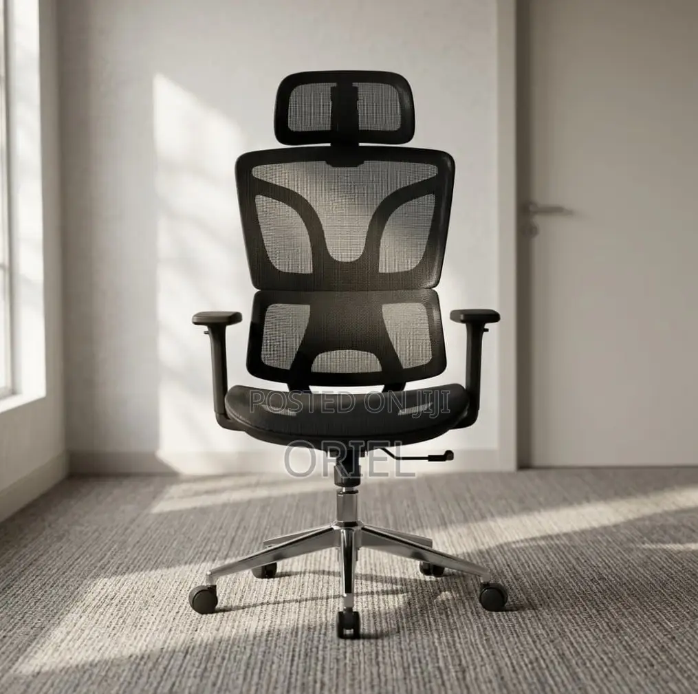 Office Chair : High-Back Adjustable Ergonomic Chair