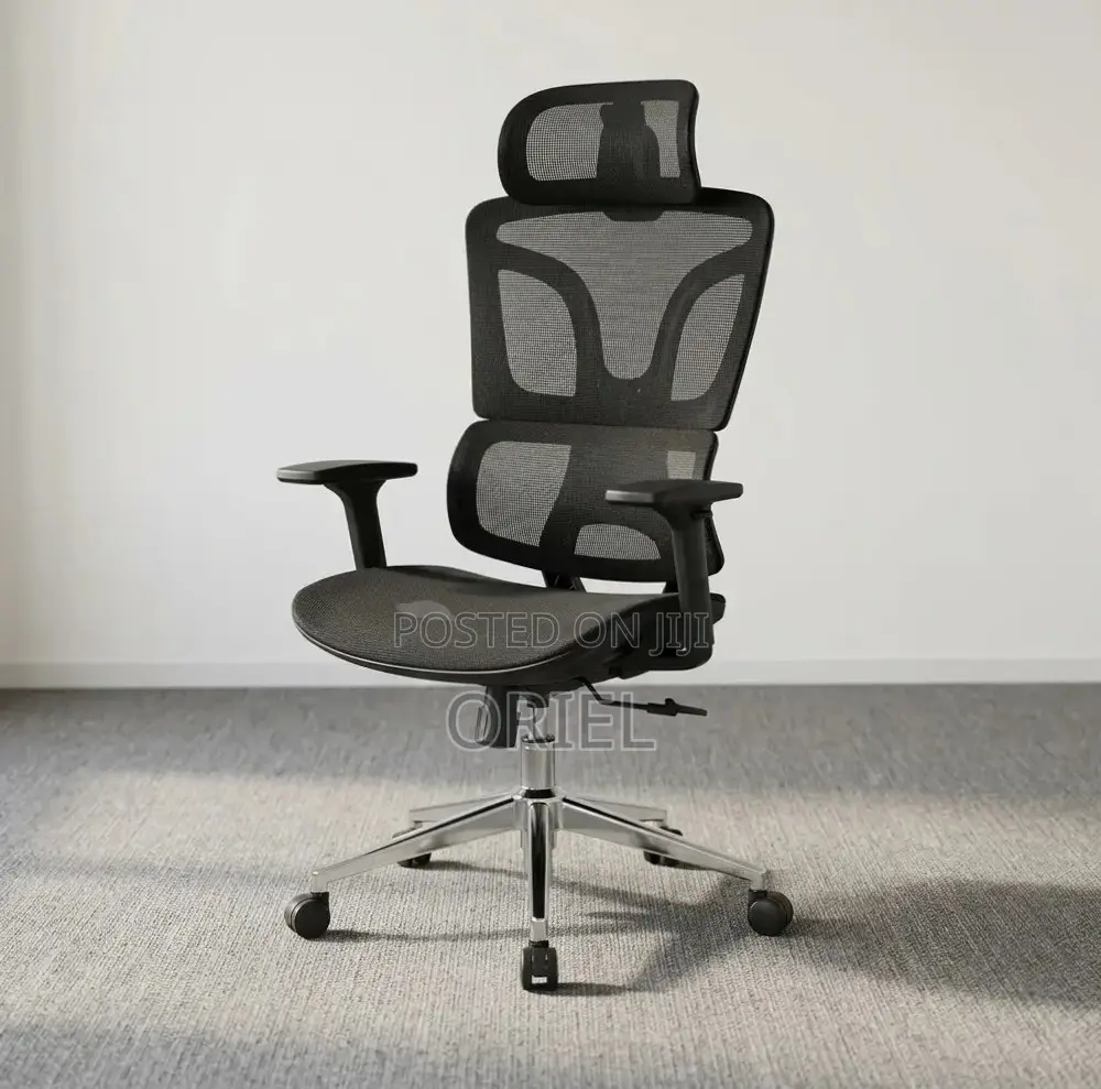 Office Chair : High-Back Adjustable Ergonomic Chair
