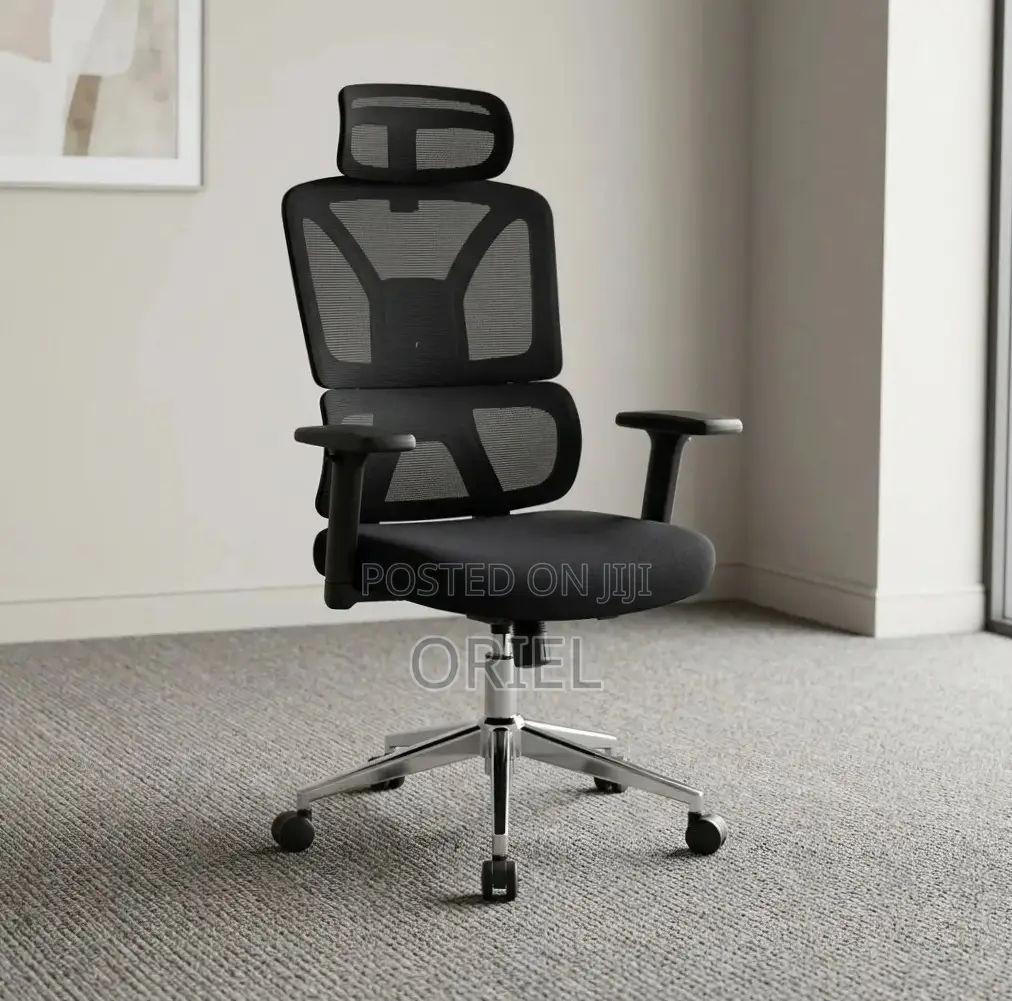 Office Chair : High-Back Adjustable Ergonomic Chair