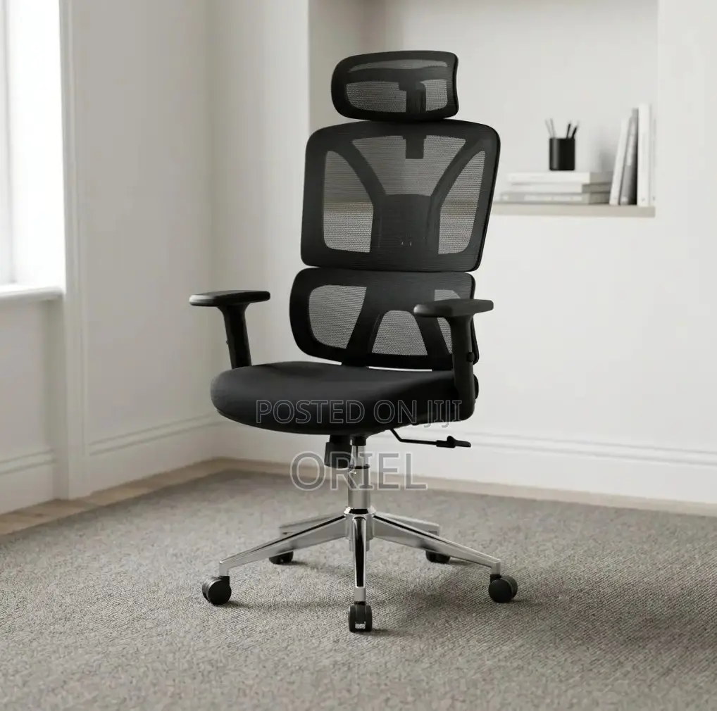 Office Chair : High-Back Adjustable Ergonomic Chair